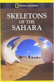 Image Skeletons of the Sahara 2013