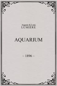 Aquarium 1896 streaming