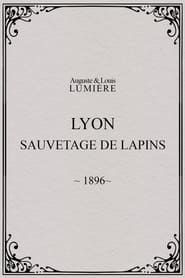 Image Lyon : sauvetage de lapins 1896