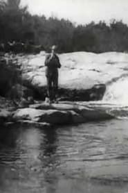 Brook Trout Fishing (1900)