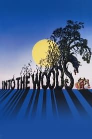 Affiche de Into the Woods