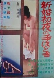 Shinkon shoya no tehodoki (1972)