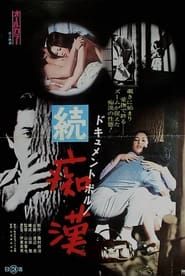 ドキュメントポルノ　続・痴漢 (1973)