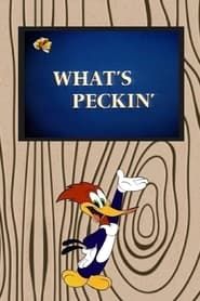 What's Peckin'-hd