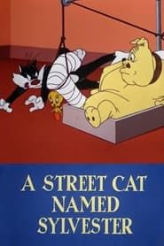 Image A Street Cat Named Sylvester