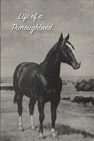 Life of a Thoroughbred (1941)