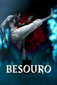 Besouro-hd