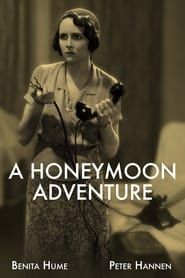A Honeymoon Adventure series tv