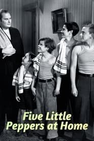 Five Little Peppers at Home series tv