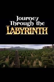 Image Journey Through the Labyrinth 2007