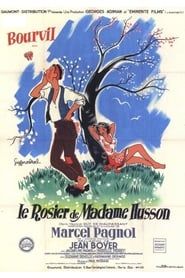 Image Le rosier de madame Husson 1950