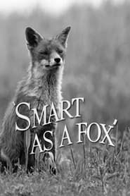 Affiche de Smart as a Fox
