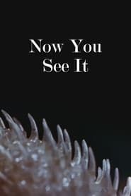 Now You See It series tv