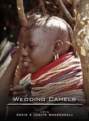 The Wedding Camels series tv