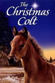 The Christmas Colt series tv