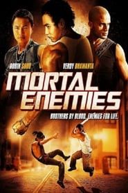 Mortal Enemies series tv