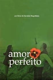 Amor Perfeito series tv
