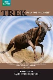 Trek - Spy on the Wildebeest series tv