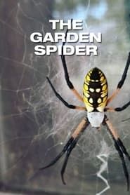 Image The Garden Spider