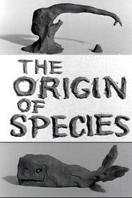 Clay or The Origin of Species series tv
