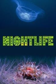 Nightlife series tv