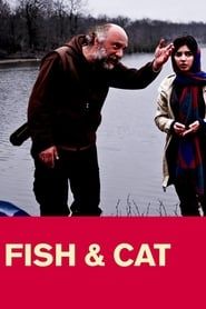 Image Fish & Cat