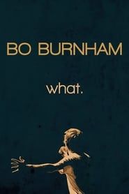 Bo Burnham: What. series tv