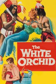 The White Orchid series tv