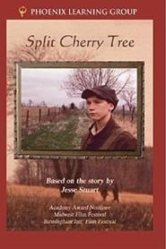 Split Cherry Tree series tv