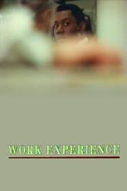 Work Experience series tv