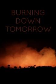 Burning Down Tomorrow series tv