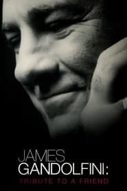 James Gandolfini: Tribute to a Friend series tv
