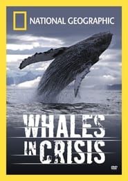 Whales in Crisis series tv