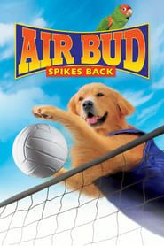 Air Bud: Spikes Back series tv