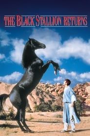 The Black Stallion Returns series tv