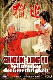 Shaolin Kung Fu Master series tv