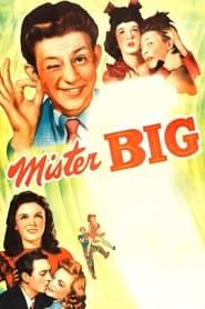 Affiche de Mister Big