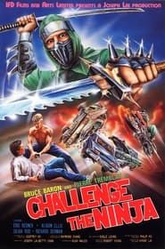 Challenge of the Ninja series tv