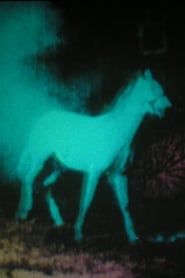 Affiche de Berlin Horse