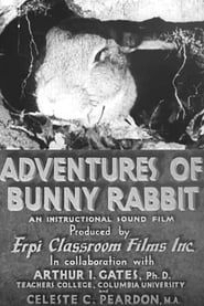 Image Adventures of Bunny Rabbit