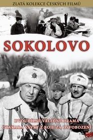 Sokolovo series tv