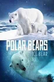 Ours polaires - Banquise en Péril 2013 streaming