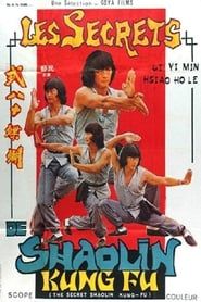 The Secret Shaolin Kung-Fu series tv