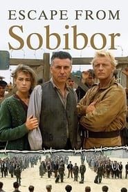 Les rescapés de Sobibor (1987)