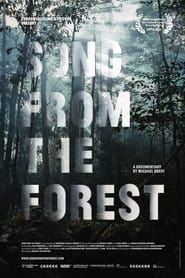 Affiche de Song from the Forest
