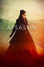 Affiche de The Assassin