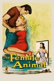 The Female Animal 1958 streaming