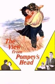 Affiche de The View from Pompey's Head