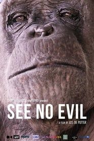 See No Evil series tv
