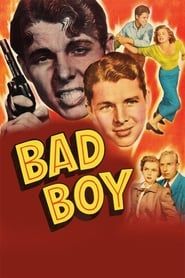 Bad Boy series tv